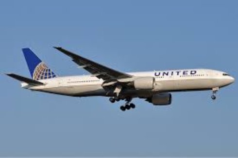 Сотрудники United Airlines просят восстановить их в должности после увольнения
