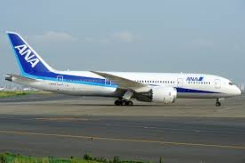В Японии самолет авиакомпании ANA совершил вынужденную посадку из-за неисправности