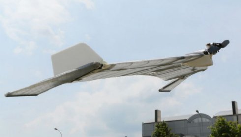 В Швейцарии построили похожий на летучую мышь летающий и ползающий дрон (ВИДЕО)