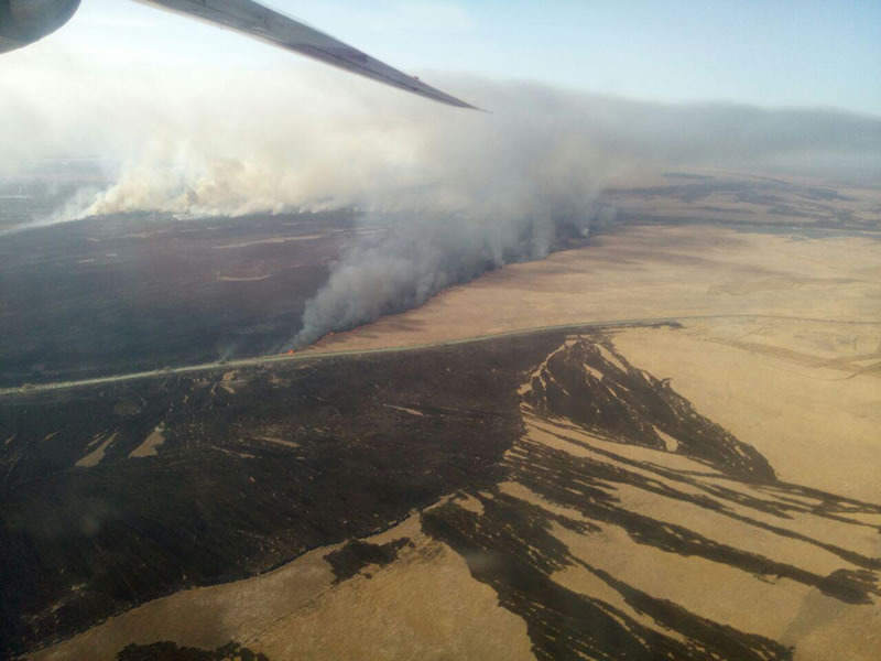 Авиация тушит пожар на Одесчине