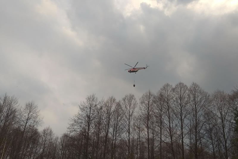 Пожар в Межреченском ландшафтном парке тушила авиация