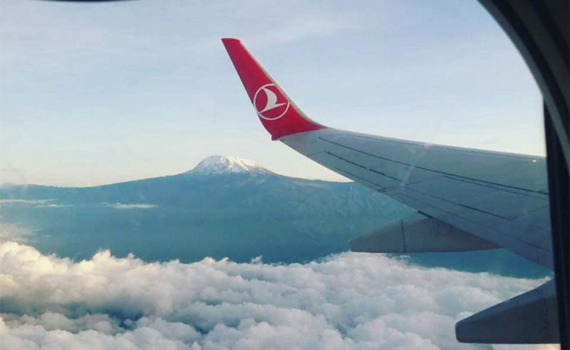 Крупнейшая турецкая авиакомпания возобновляет рейсы в Украину