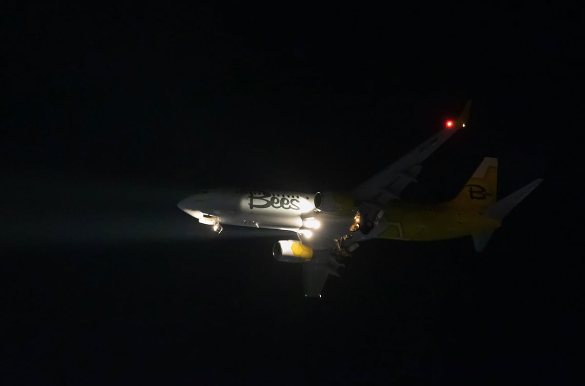 В Украину прилетел второй самолет Bees Airline в фирменной ливрее